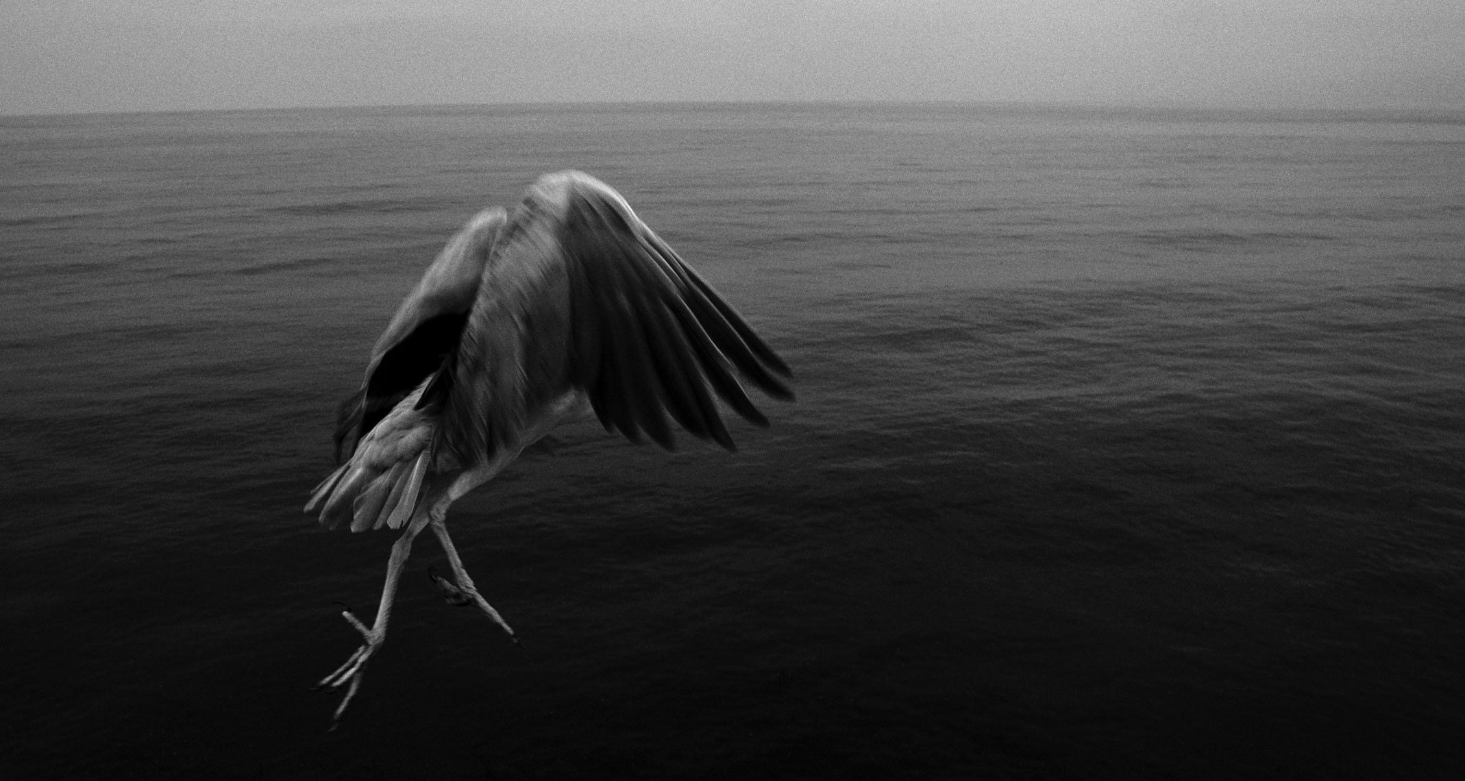 _MG_7980-new-website